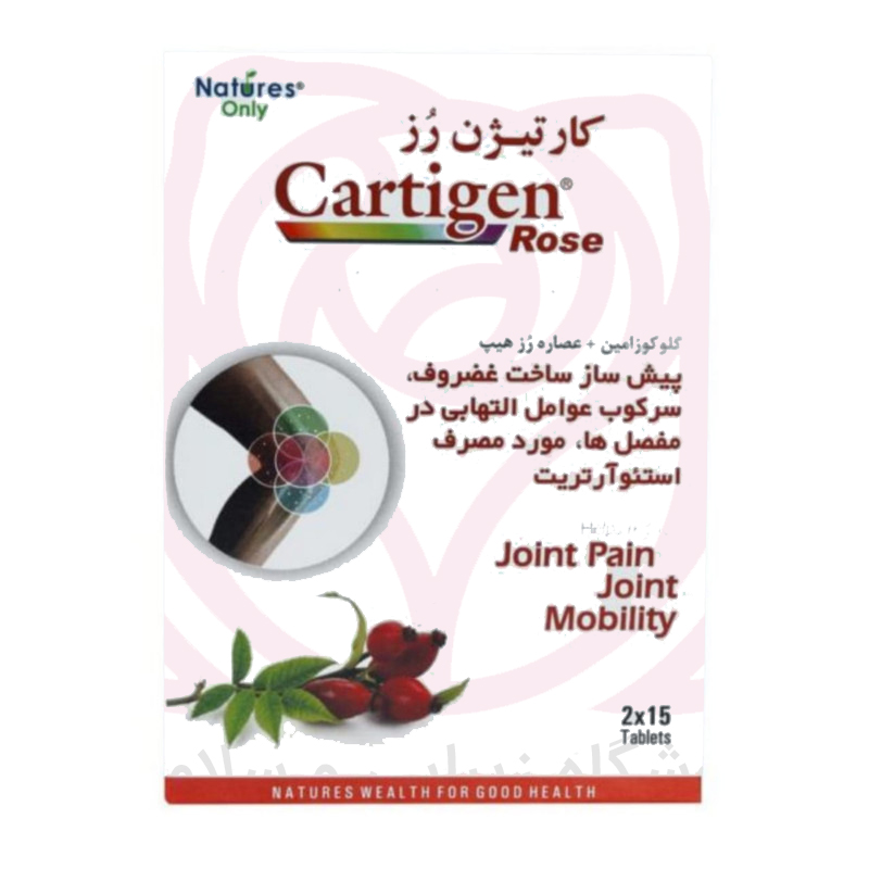 کارتیژن فورت
